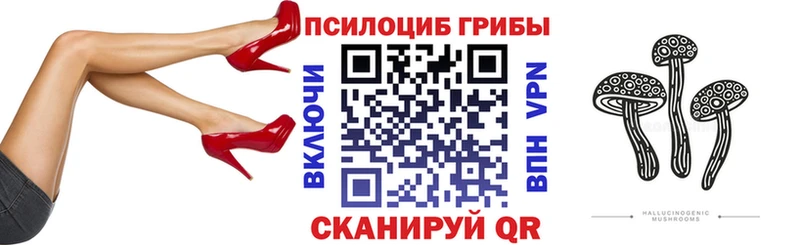 Купить где  Курганинск  Псилоцибиновые грибы ЛСД 
